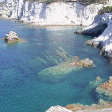 NOLEGGIO BARCA CON SKIPPER – CIRCEO – PONZA – PISCINE NATURALI