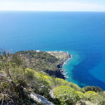 NOLEGGIO BARCA CON SKIPPER PONZA – PUNTA DEL FIENO